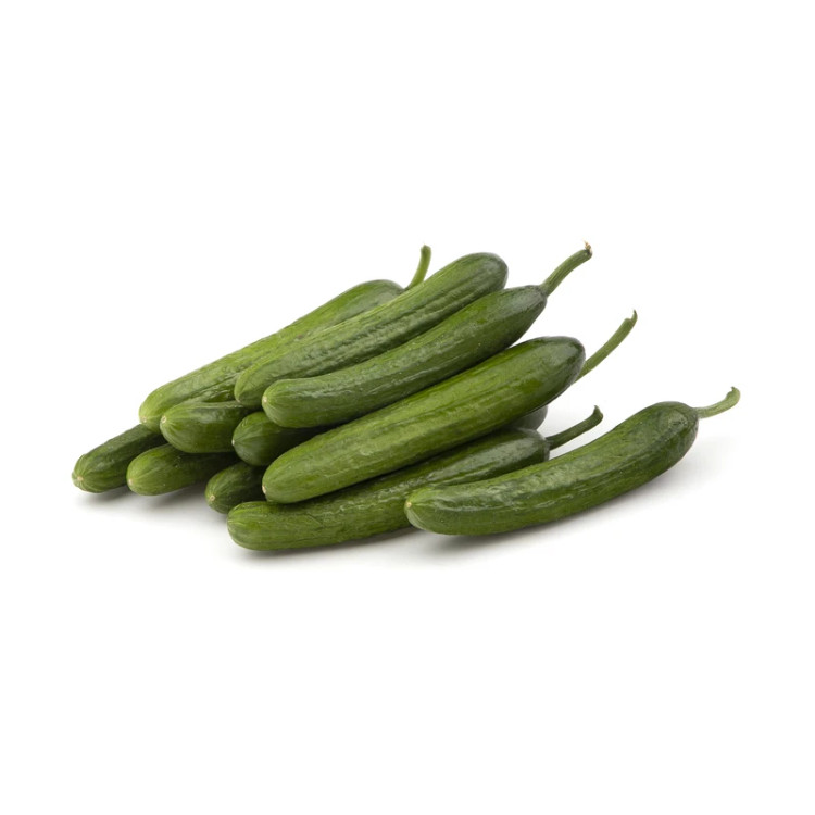 قیمت و خرید خیار فله و بسته بندی ارسال فوری کرج و مشکین دشت