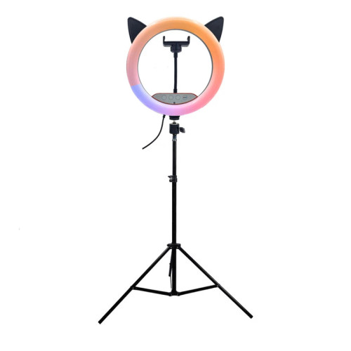 رینگ لایت مدل گربه ای کد RGB-CM26 RK